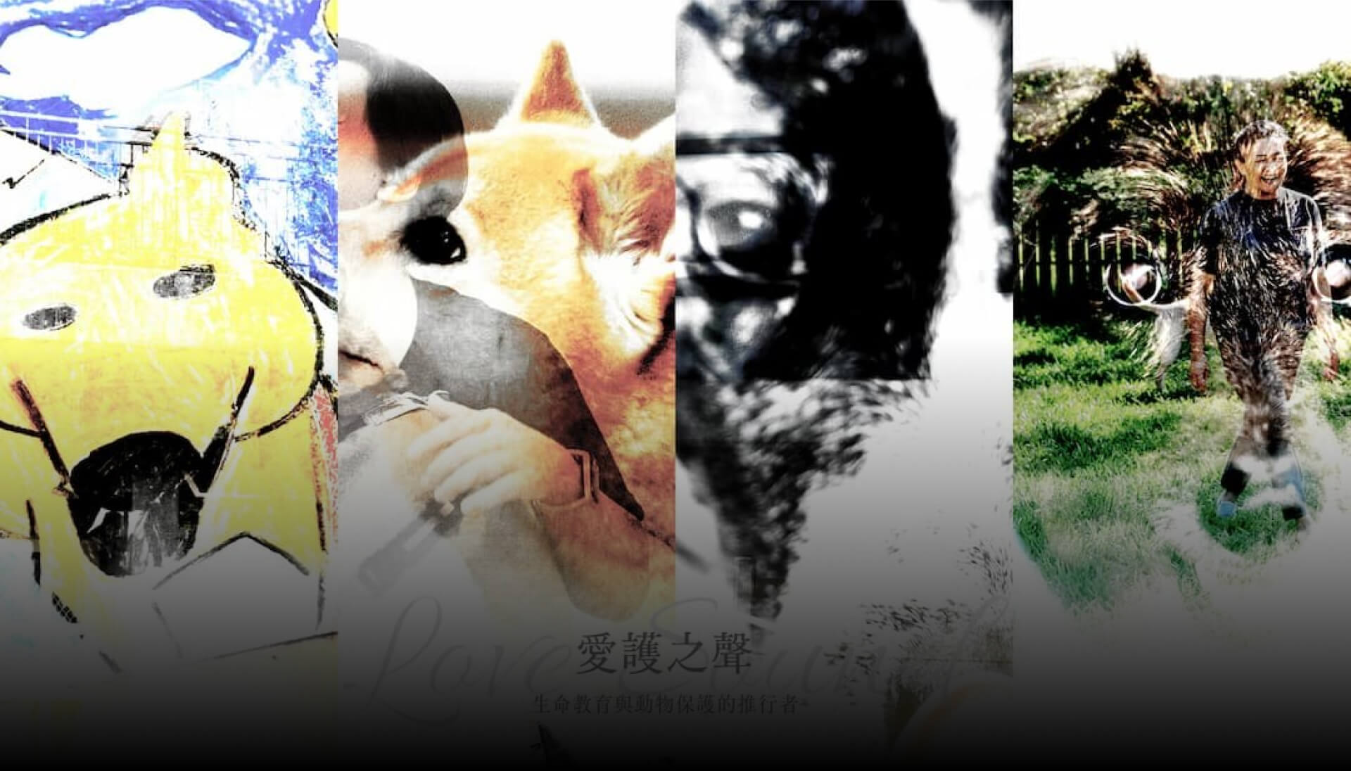 愛護之聲：生命教育與動物保護的先行者