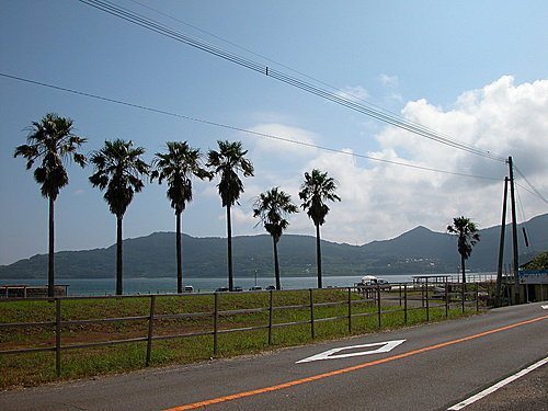 川內町沿海公路一景（周婉窈拍攝） 