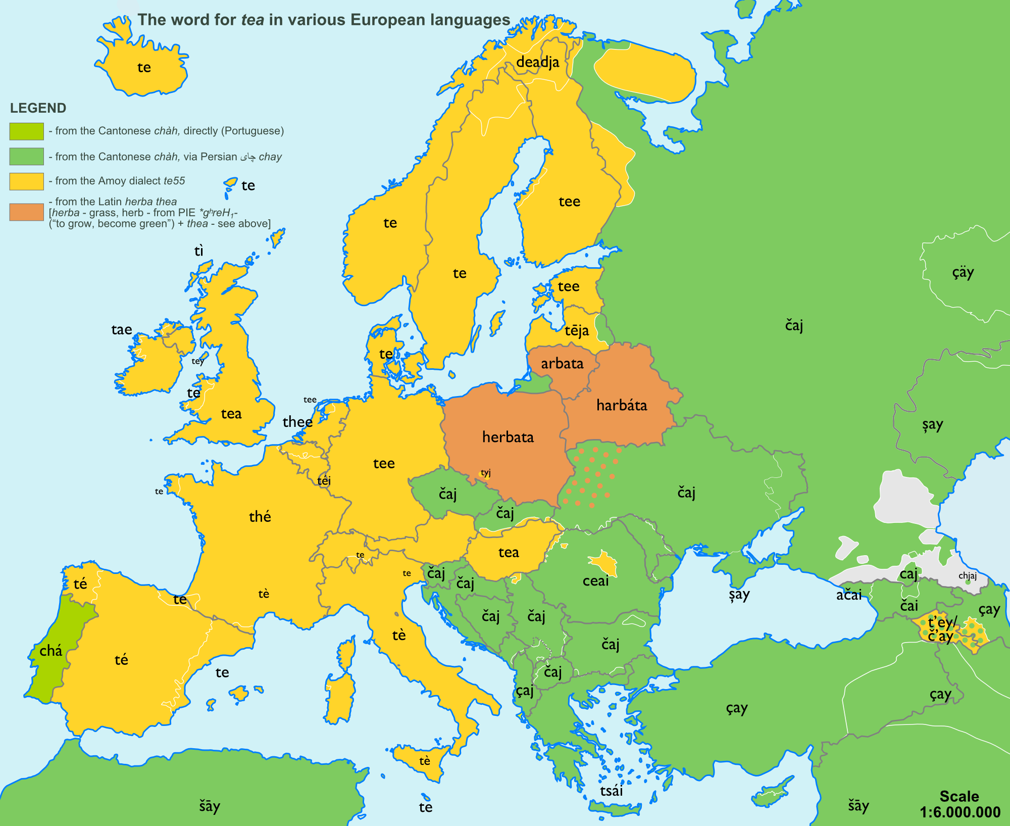歐洲各國茶的發音