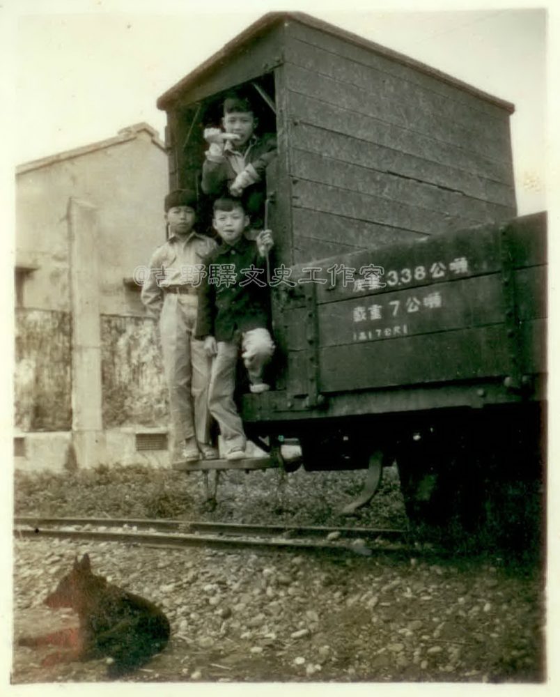 ▲在吉安車站肥料倉庫旁的貨車車廂上吃甘蔗（民國40年代）