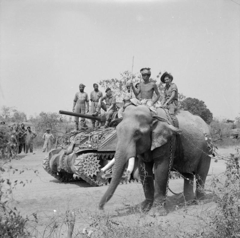 1945年3月位在緬甸的英軍與大象，圖片來源：Wikimedia Commons