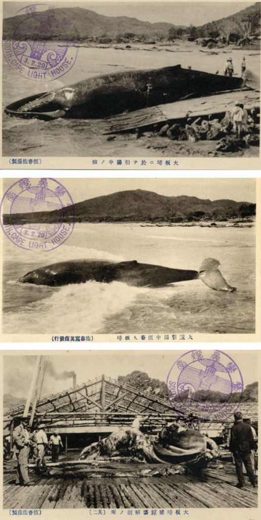 在大坂埒捕鯨的情況。 圖片取自：國家圖書館台灣記憶資料庫。