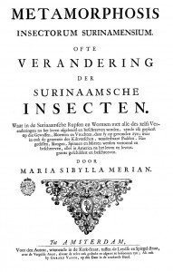 Maria Sibylla Merian (1647-1717) 著作 