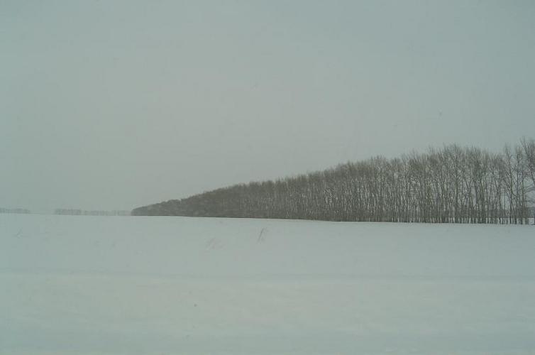 西伯利亞的冬天，Doogal攝於2004年3月，圖片來源：Wikimedia Commons
