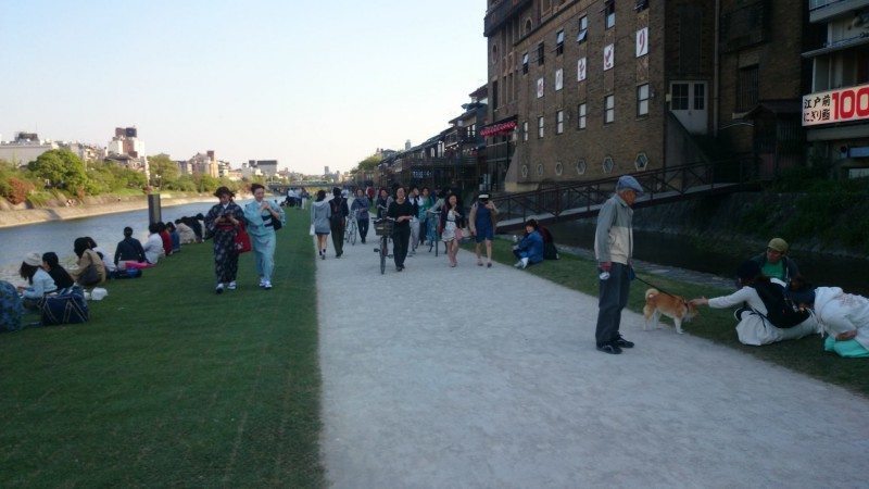 京都鴨川畔散步的人們，感覺相當愜意。（圖:作者提供）