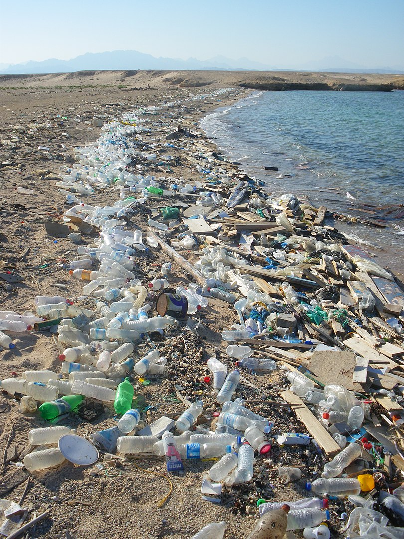 在東沙島竟能撿到埃及的垃圾—沒有國界的海洋生態殺手「海漂垃圾」03