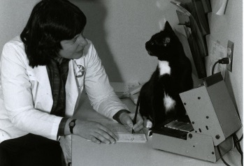 愛貓拯救世界──研究貓的神秘疾病意外找出愛滋病的元兇-01